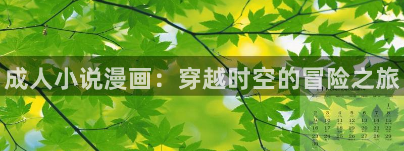 91香蕉漫画：成人小说漫画：穿越时空的冒险之旅
