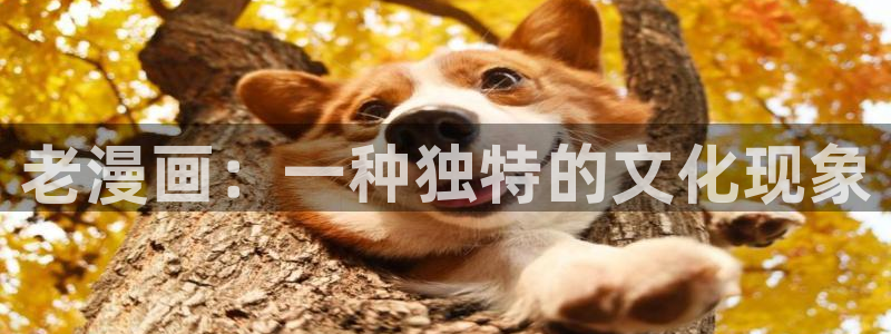 香蕉文化漫画入口官网正版：老漫画：一种独特的文化现象