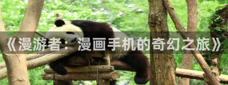 香蕉漫画官网：《漫游者：漫画手机的奇幻之旅》