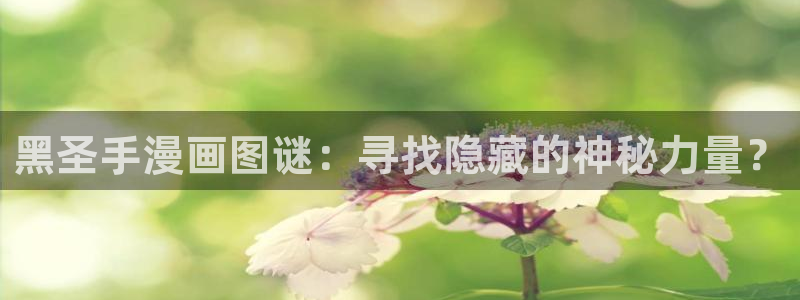 香蕉文化漫画资源：黑圣手漫画图谜：寻找隐藏的神秘力量？