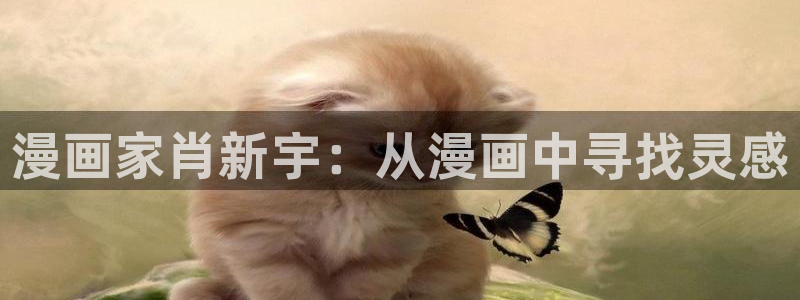 香蕉漫画免费入口：漫画家肖新宇：从漫画中寻找灵感