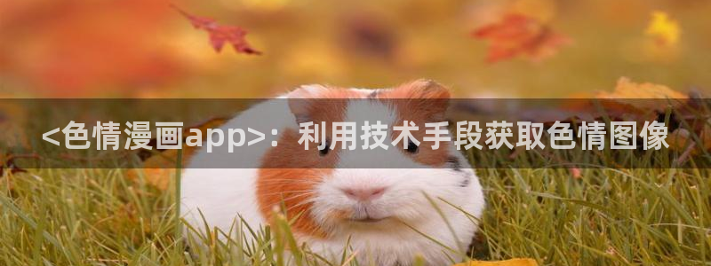 香蕉文化小说漫画更新：<色情漫画app>：利用技术手段获取色情图像
